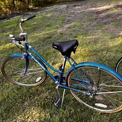 26 In Vintage Schwin Bicycle 