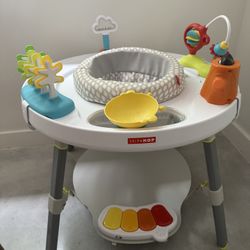 Skip Hop Activity Center - Lightly Used 