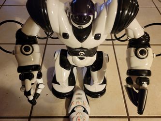 Robosapine Robot