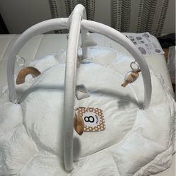 Baby play mat & Milestone Cards