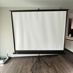 100” Projector Screen
