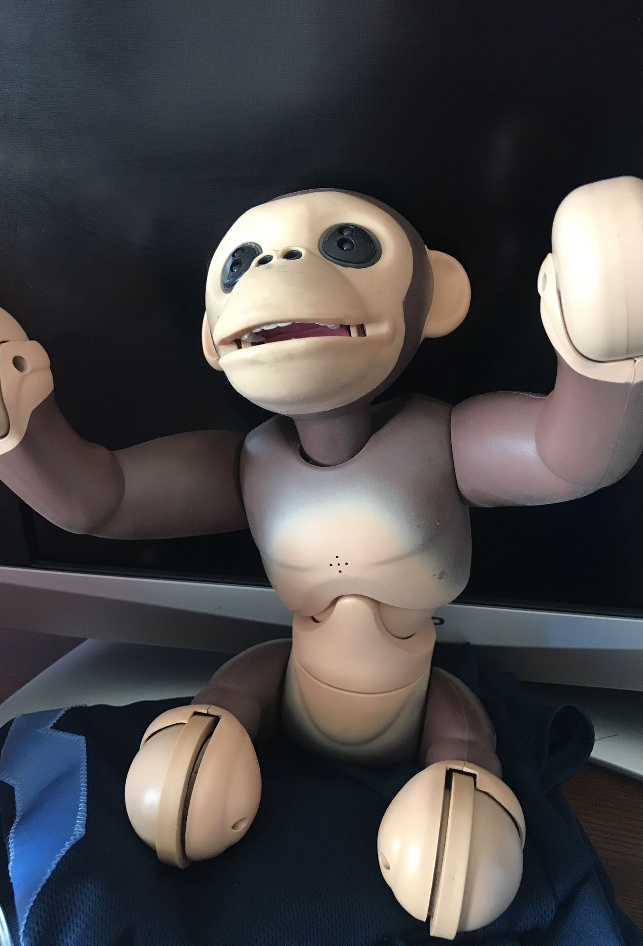 Zoom Monkey