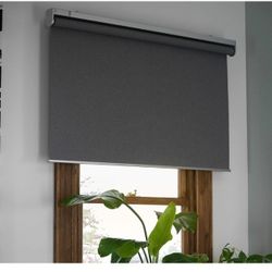 60 X 79" Modern Blackout Roller 