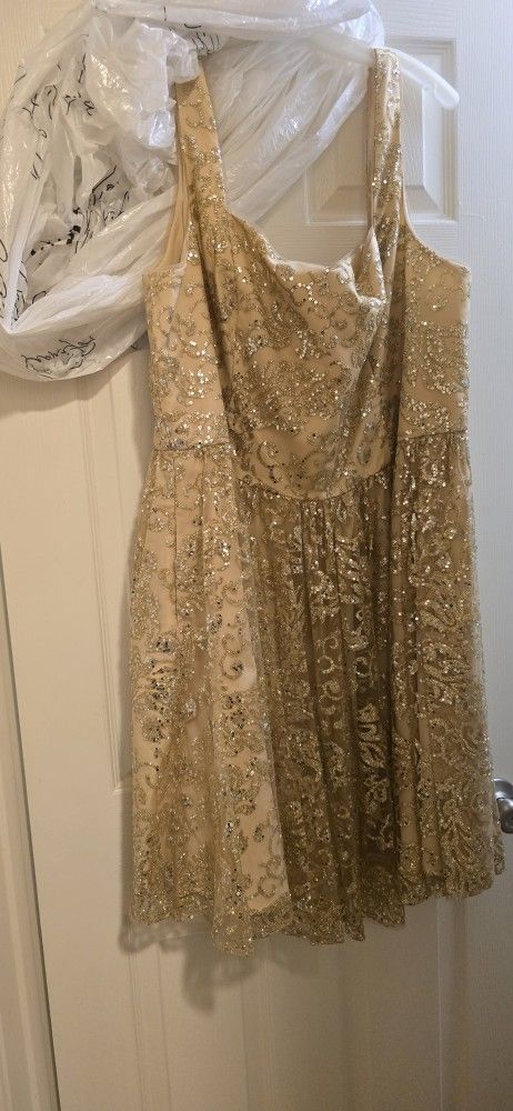 David's Bridal Gold Dress