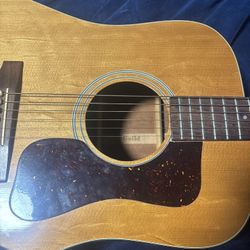 Guild 1979 D-25