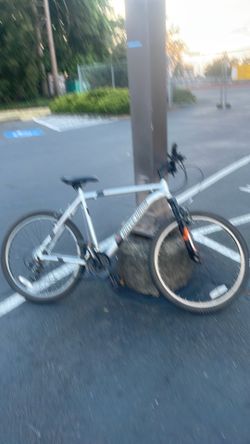 Royce union RTTMTB