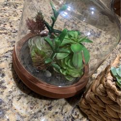 Artificial Plants 🪴 Decor