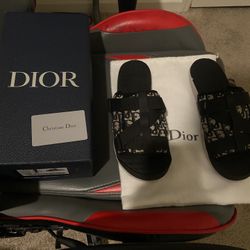 Dior Alpha Slides 