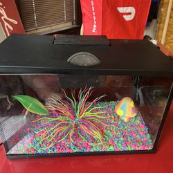 Neon Fish Tank 