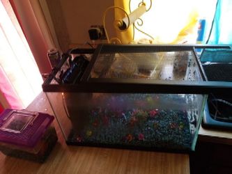 10 gallon fish tank with accessories 2 pumps rocks and trees