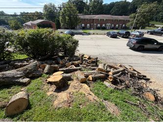 Free firewood