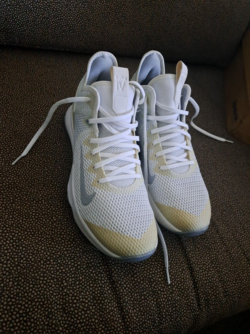 LEBRON WITNESS IV TB
| SIZE MENS 10.5