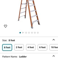 Louisville 8’ FS1508 Ladder