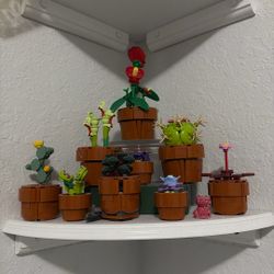 Lego Botanicals Tiny Plants and Flowers