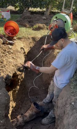 Snake Drain/ Camera Inspection