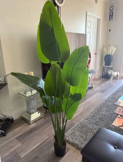 Pretty artificial plant 5 ft tall! Brand new