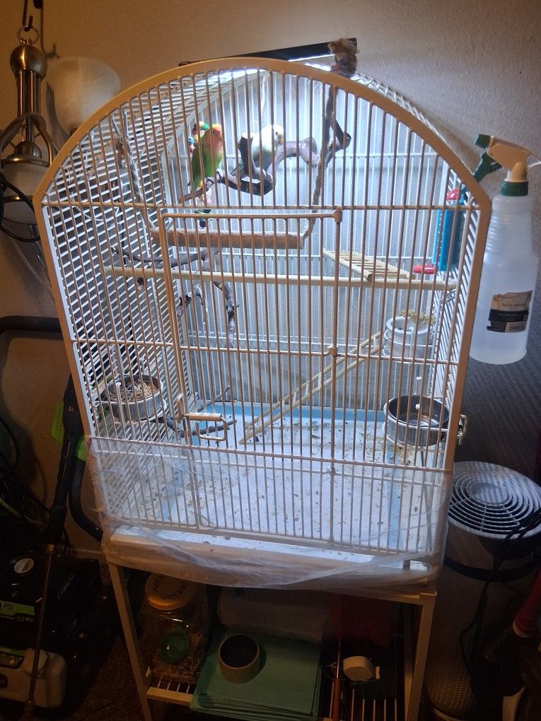 Birds Cage