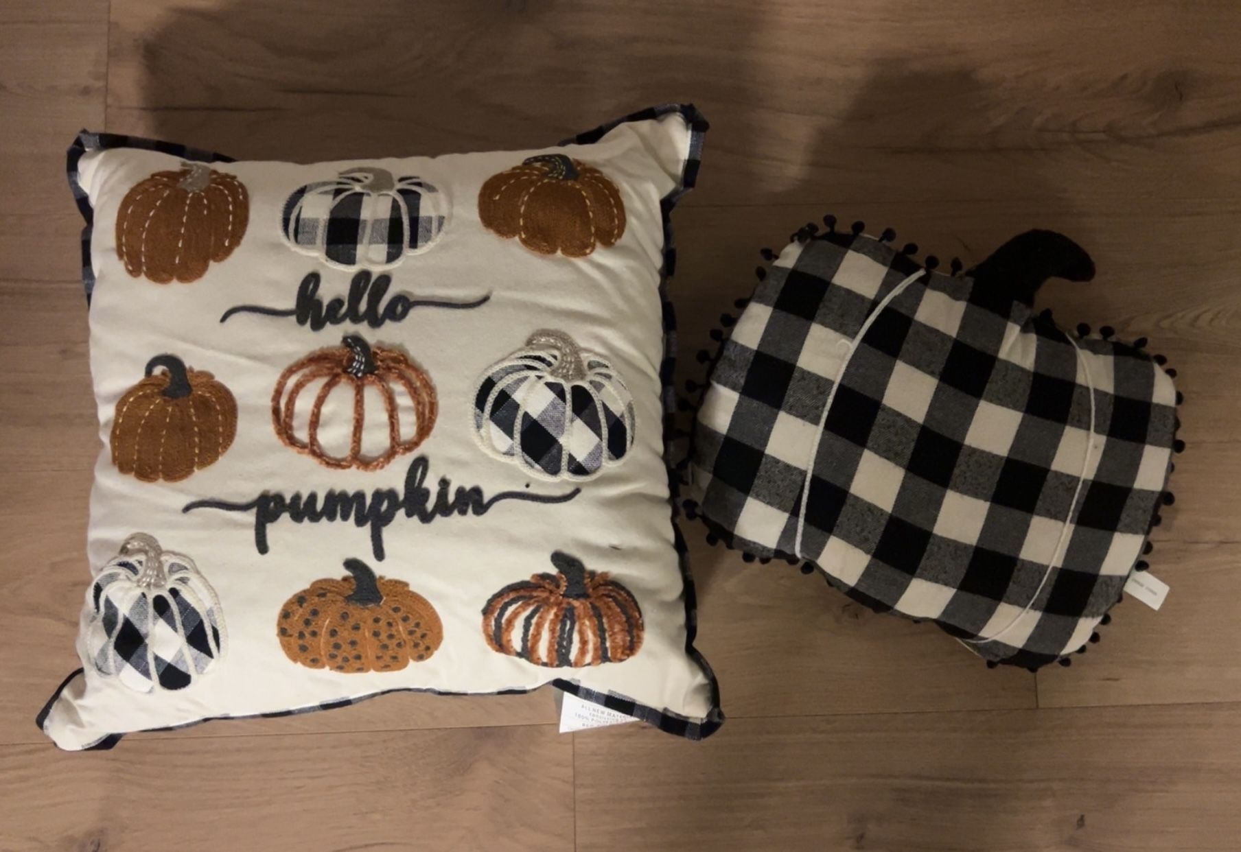 Set Of Two Fall Pillows