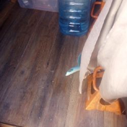 Van For Camping,Motorhome..