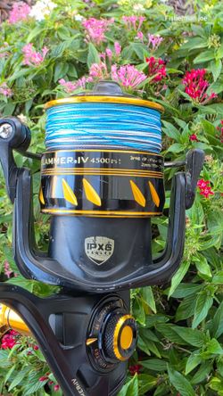 Penn Slammer4/New Braid/Shimano Teramar Rod