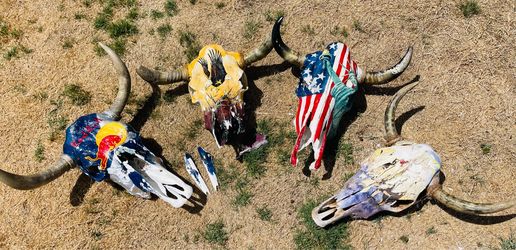 Four painted cowskulls. (Pictured)