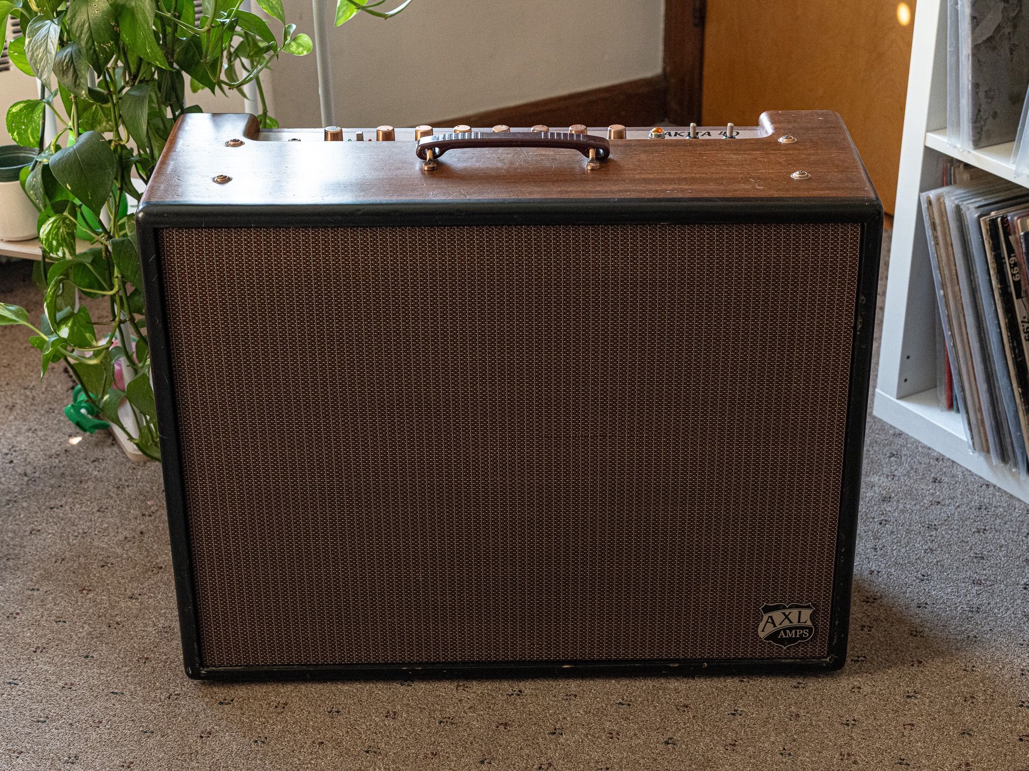 AXL Akita 40 All Tube Guitar Amplifier