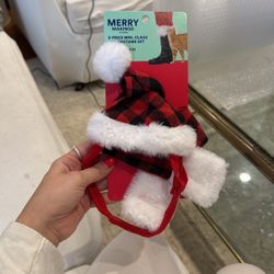 Cat Santa Costume 