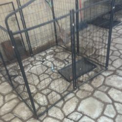 Outdoor Kennel 