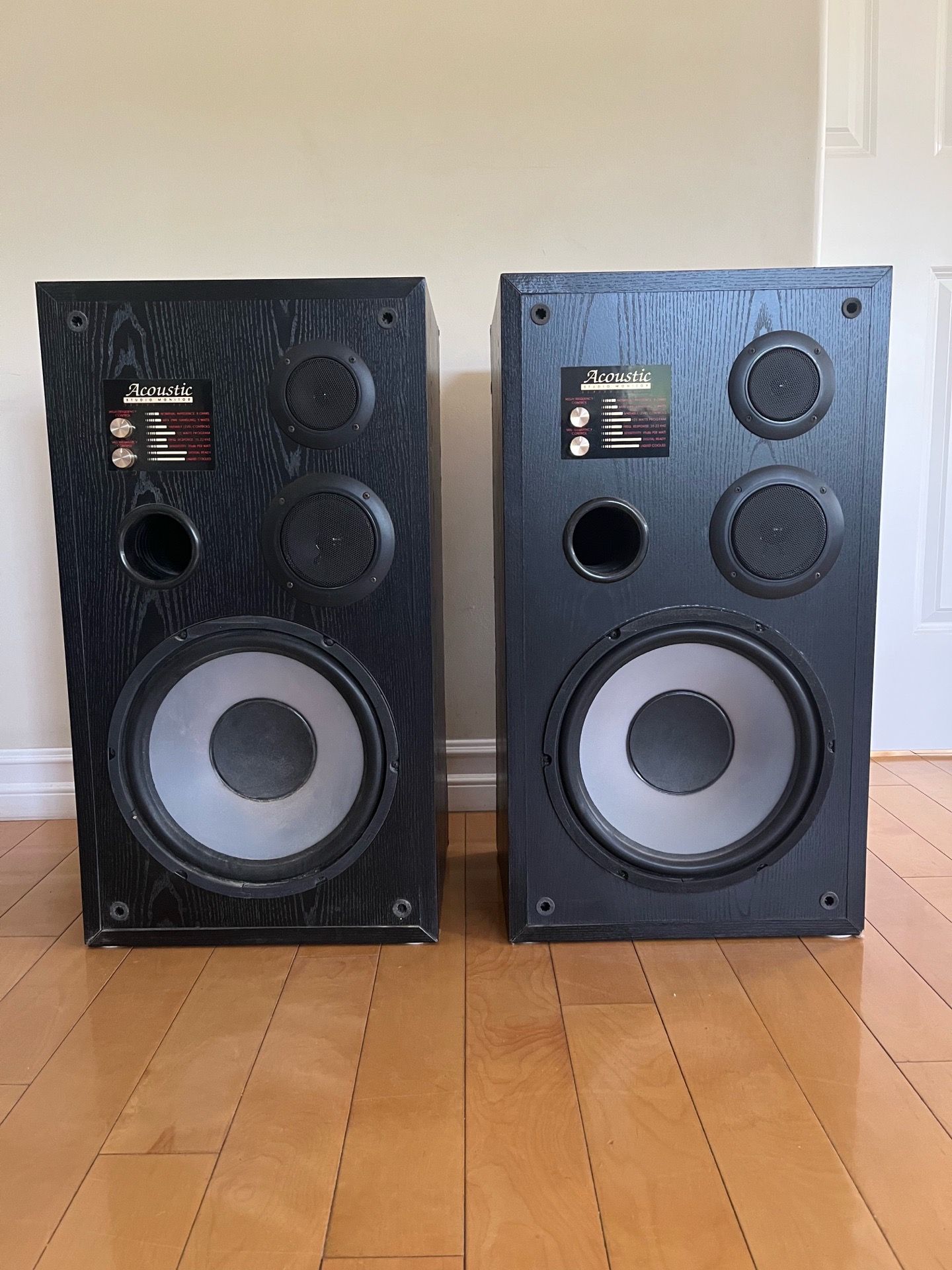 Acoustic Studio Monitor 3311 Floor Speakers — $80