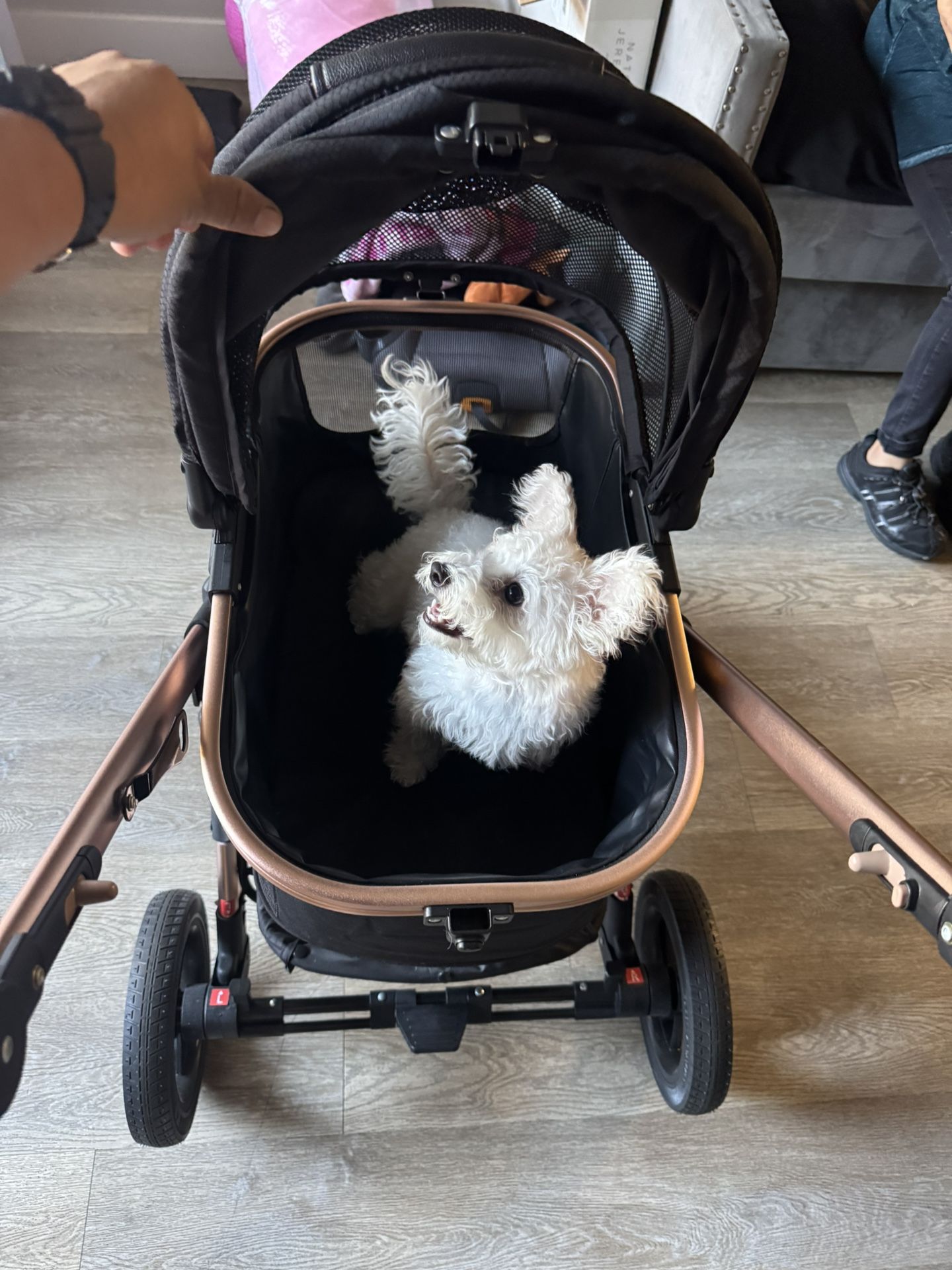 Enzo Pet Stroller