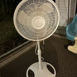 Fan 