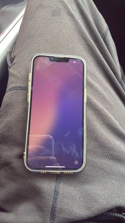 iPhone 13