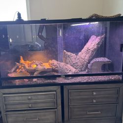 120 Gallon Reptile Terrarium 