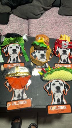 Pet head band costumes