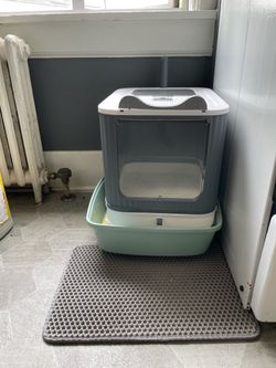 Cat items