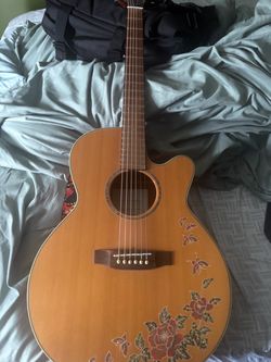 6 String Vintage Takamine