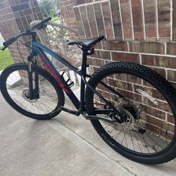 TREK MOUNTAIN BIKE 10 Speeds