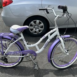 Schwin 24 Inch Bike