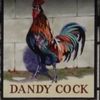 Dandy