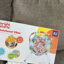 Baby Bouncer 