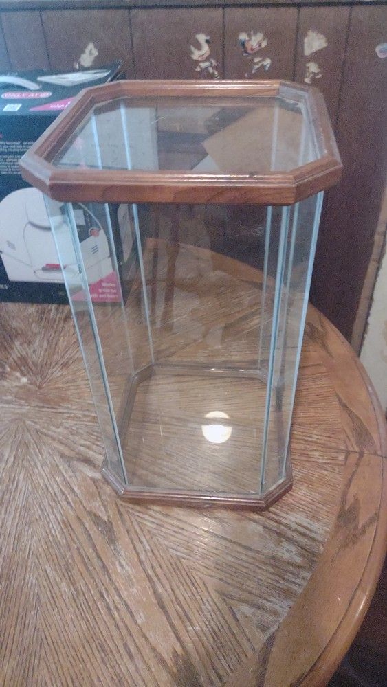 19.5 By 11.25 By 11.25 Sturdy Glass Display Case With Wood Trim