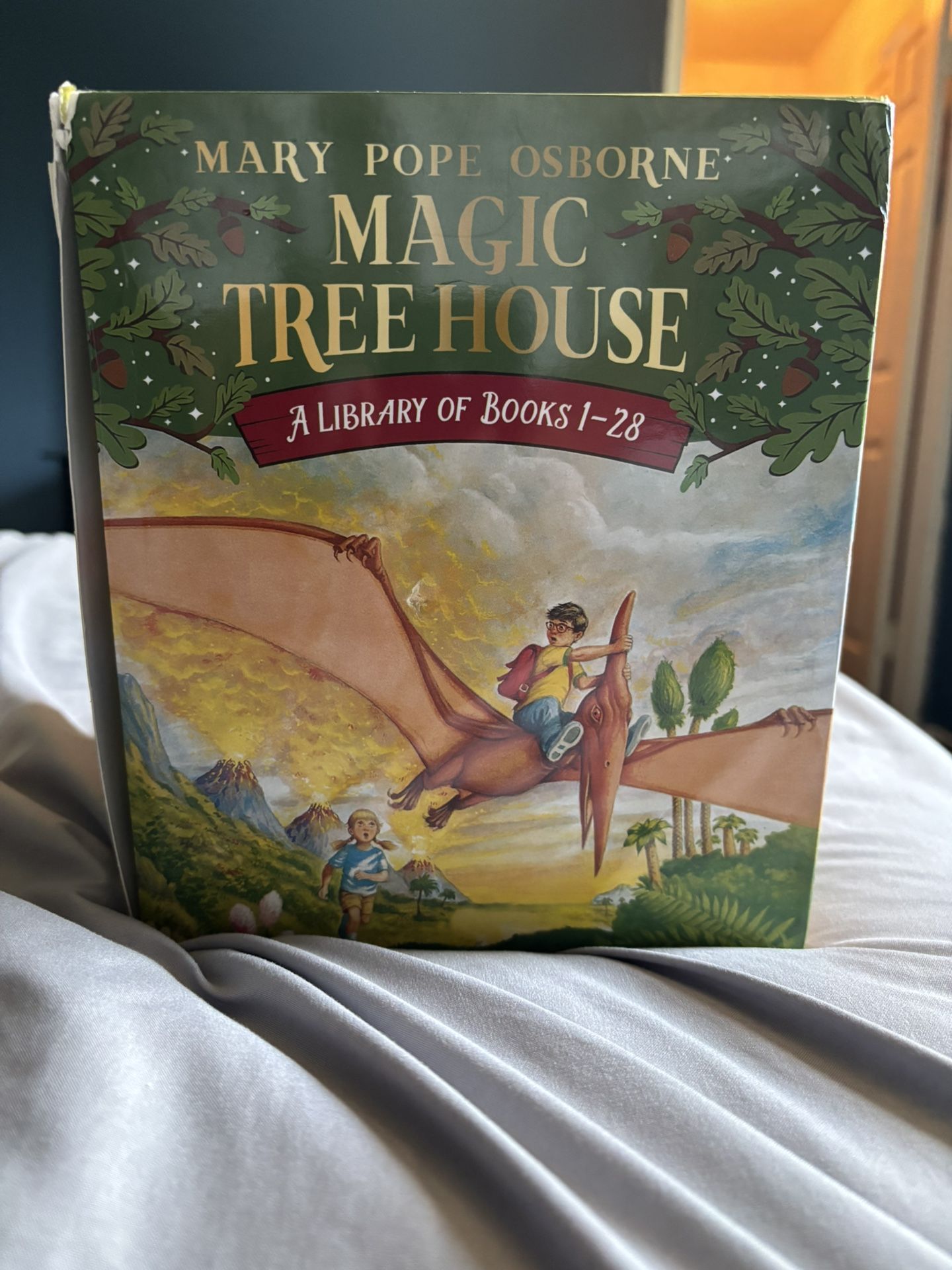 Magic Treehouse A Library Of Books 1 28