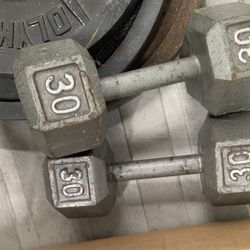 30 Pound Dumbbell 