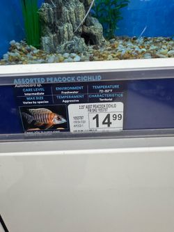 Fish tank