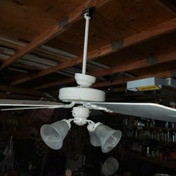 Ceiling fan