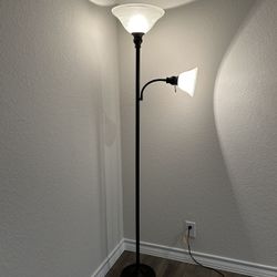 Floor Lamp  