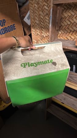 Igloo Cooler – Works Great – $20