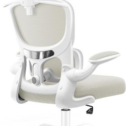 Ergonomic Office Chair