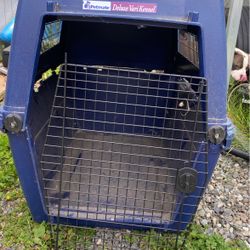 Dog Kennel 