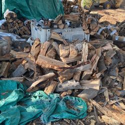 Eucalyptus Fire Wood